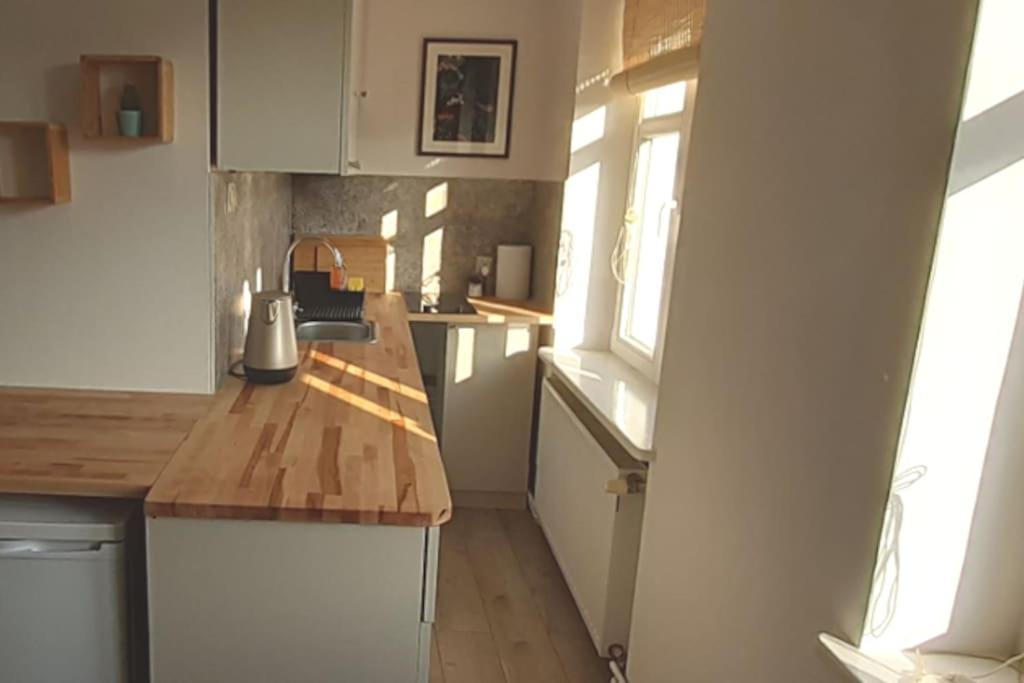 לגניצה Lemuria Apartament Szkolna Centrum מראה חיצוני תמונה