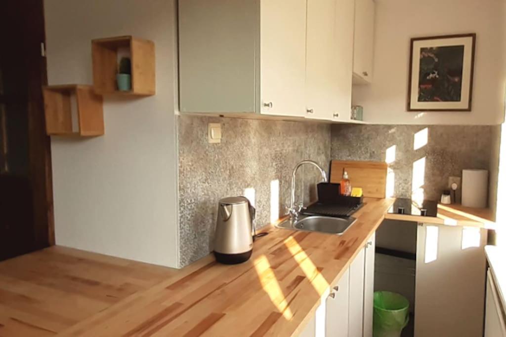 לגניצה Lemuria Apartament Szkolna Centrum מראה חיצוני תמונה