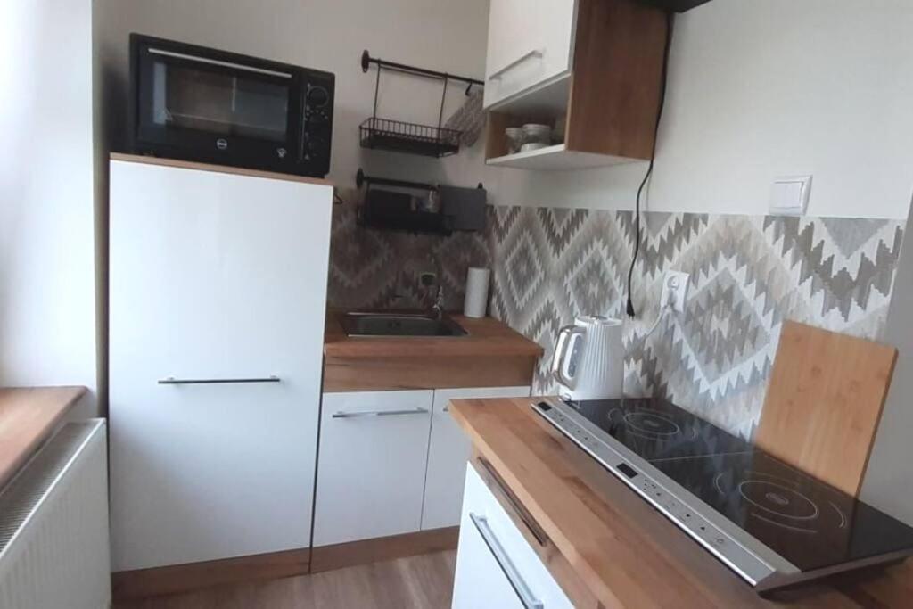 לגניצה Lemuria Apartament Szkolna Centrum מראה חיצוני תמונה