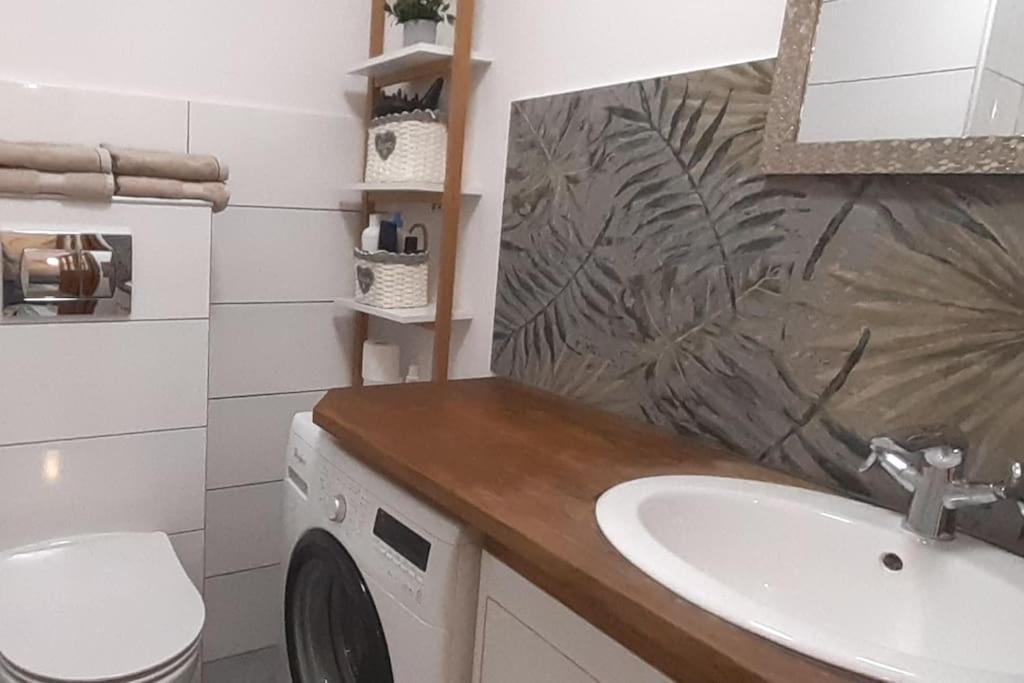 לגניצה Lemuria Apartament Szkolna Centrum מראה חיצוני תמונה