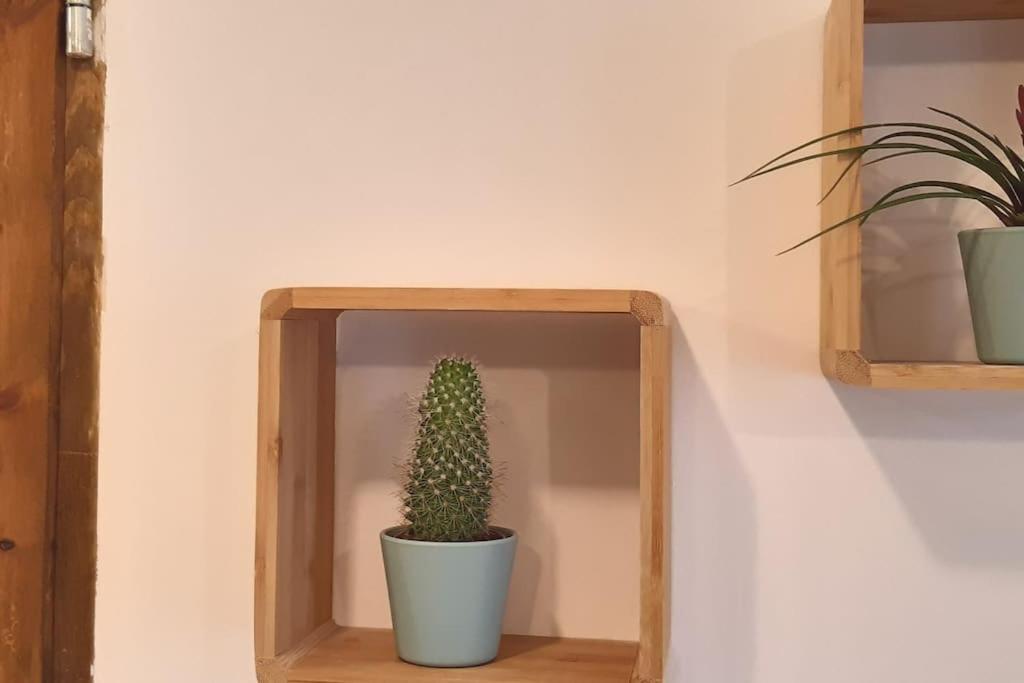לגניצה Lemuria Apartament Szkolna Centrum מראה חיצוני תמונה